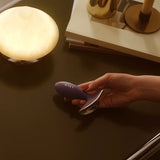 Surfer, vibrador anal